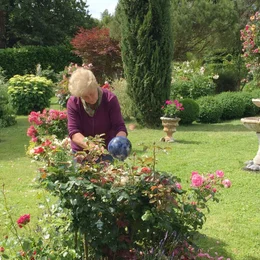 Garten B&ouml;hler