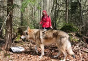 Theresa (Ines Lutz) begegnet im Wald einem Wolf ...