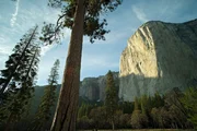 Der El Capitan ragt &uuml;ber 900 Meter in die H&ouml;he und ist eine der beliebtesten Herausforderungen f&uuml;r Felskletterer und Base Jumper der Welt.