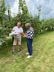 Wladimir Kaminer mit Franz Reisinger in seinem Marillengarten in der Wachau.