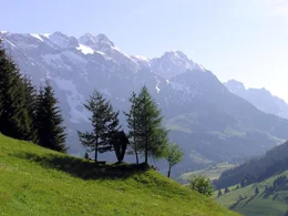 Der Hochk&ouml;nig, mit 2.941 Metern h&ouml;chster Gipfel der Salzburger Kalkhochalpen, &uuml;berragt einen Lebensraum von erlesener Sch&ouml;nheit. Der Berg hat zwei Gesichter: ein friedvolles, ruhiges von Norden; ein zerfurchtes, zerkl&uuml;ftetes von S&uuml;den. Die umliegende Natur- und Kulturlandschaft des Pinzgau und Pongau mit ihren Almb&ouml;den und W&auml;ldern portr&auml;tiert Bernd Seidel im Winter und Fr&uuml;hsommer - in jenen Jahreszeiten, in denen diese Bergwelt ihre ganze Sch&ouml;nheit hervorzaubert.