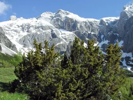Der Hochk&ouml;nig, mit 2.941 Metern h&ouml;chster Gipfel der Salzburger Kalkhochalpen, &uuml;berragt einen Lebensraum von erlesener Sch&ouml;nheit. Der Berg hat zwei Gesichter: ein friedvolles, ruhiges von Norden; ein zerfurchtes, zerkl&uuml;ftetes von S&uuml;den. Die umliegende Natur- und Kulturlandschaft des Pinzgau und Pongau mit ihren Almb&ouml;den und W&auml;ldern portr&auml;tiert Bernd Seidel im Winter und Fr&uuml;hsommer - in jenen Jahreszeiten, in denen diese Bergwelt ihre ganze Sch&ouml;nheit hervorzaubert.