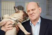 Der Tierpfleger zeigt Direktor Rose (Uli Gebauer) im Tierheim einige Hunde, doch nicht jeder Vierbeiner findet seinen Gefallen.