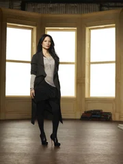 (2. Staffel) - Steht dem durchgeknallten Ermittler Sherlock Holmes zur: Joan Watson (Lucy Liu) ...