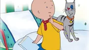 Caillou liest ein spannendes Piratenbuch. Doch st&auml;ndig wird er beim Lesen gest&ouml;rt.