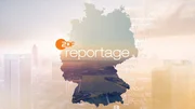 Logo "ZDF.reportage". Logo "ZDF.reportage".