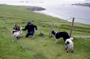Claire de Haas und Brock Montgomery, Aussteiger und alleinige Bewohner (Herbergseltern) auf der Insel Great Blasket. Claire de Haas und Brock Montgomery, Aussteiger und alleinige Bewohner (Herbergseltern) auf der Insel Great Blasket.