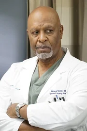 Dr. Richard Webber (James Pickens jr.) Dr. Richard Webber (James Pickens jr.)