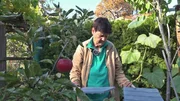 Rentnerin Elke will ihren Gartenweg endlich fertig stellen und werkelt ohne männliche Unterstützung weiter, ganz nach dem Motto: "Selbst ist die Frau!". Rentnerin Elke will ihren Gartenweg endlich fertig stellen und werkelt ohne männliche Unterstützung weiter, ganz nach dem Motto: "Selbst ist die Frau!".
