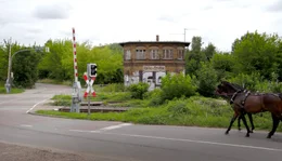 An manchen Ecken erscheint der Stadtrand von Halle wie ein Dorf.