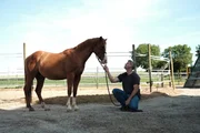 Pferdeprofi Bernd Hackl mit Pony Amigo.