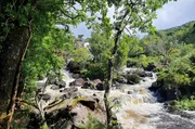 Die besonders wilde Landschaft des Killarney National Parks besteht aus steilen Bergen und einem System aus Seen. Die besonders wilde Landschaft des Killarney National Parks besteht aus steilen Bergen und einem System aus Seen.