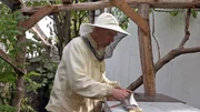 Imker Andreas steckt besonders viele Liebe, Zeit und Arbeit in sein Hobby. Imker Andreas steckt besonders viele Liebe, Zeit und Arbeit in sein Hobby.