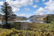 Den hohen Bergen an der Nordirischen Grenze entspringend, bildet der Fluss Shannon Irlands zentrale Lebensader zwischen Ost und West. Den hohen Bergen an der Nordirischen Grenze entspringend, bildet der Fluss Shannon Irlands zentrale Lebensader zwischen Ost und West.