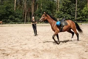Pferdetrainern Katja mit Maiky.