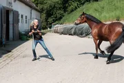 Katja Schnabel Katja Schnabel
