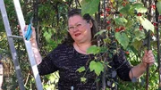 Isländerin Margret und Ehemann Matthias widmen sich heute einer ungeliebten Aufgabe: Hecke schneiden. Isländerin Margret und Ehemann Matthias widmen sich heute einer ungeliebten Aufgabe: Hecke schneiden.