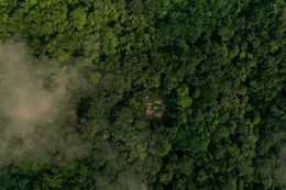 Obwohl Bonobos unsere n&auml;chsten Verwandten sind, wissen wir wenig &uuml;ber sie. Eine junge Forscherin, Leveda Cheng, will im tiefen Dschungel des Kongos die Gruppendynamik der wild lebenden Tiere entr&auml;tseln. Bild: Forschercamp des Kokolopori Forschungsprojekts aus der Vogelperspektive.