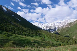 Die Tien Shan-Berge oder "Himmelsberge" gelten als Naturparadies im S&uuml;den Kasachstans, im Herzen Zentralasiens.