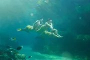 Wie wundervoll der Ozean sein kann. Das wissen auch Rikki (Cariba Heine, li.), Cleo (Pheobe Tonkin, Mitte) und Bella (Indiana Evans, re.). Wie wundervoll der Ozean sein kann. Das wissen auch Rikki (Cariba Heine, li.), Cleo (Pheobe Tonkin, Mitte) und Bella (Indiana Evans, re.).