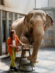 Pediküre bei den Elefanten: Die freie Tierärztin Dr. Susanne Mertens (Elisabeth Lanz) ist auch für die Dickhäuter des Leipziger Zoos da. Doch Elefantendame Najuma will nicht fressen und zeigt auffälliges Verhalten. Pediküre bei den Elefanten: Die freie Tierärztin Dr. Susanne Mertens (Elisabeth Lanz) ist auch für die Dickhäuter des Leipziger Zoos da. Doch Elefantendame Najuma will nicht fressen und zeigt auffälliges Verhalten.