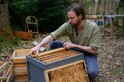 Noch sind alle am Leben. Doch Stunden später sind Stefan May (Till Bauer) und seine Bienen tot. Noch sind alle am Leben. Doch Stunden später sind Stefan May (Till Bauer) und seine Bienen tot.