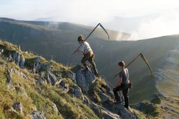 Die Nockberge geh&ouml;ren zu den interessantesten Mittelgebirgsformationen Europas und stellen im Alpenraum aufgrund ihrer sanften Formensprache und ihrer geologischen Vielfalt eine Seltenheit dar. Die geschwungenen gr&uuml;nen Nocken erinnern an Irland, die Hochplateaus an die helle Weite Kastiliens. Im Bild: Bergm&auml;her am Falkert.