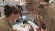 Dr. Christina Geiger und Dr. Nicole Schauerte k&uuml;mmern sich um eine verletzte Borkenratte.