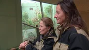Dr. Christina Geiger (rechts) und Dr. Nicole Schauerte k&uuml;mmern sich im Zoo Frankfurt um die gro&szlig;en und die kleinen Zoo-Bewohner und ihre Bed&uuml;rfnisse.