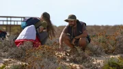 Vogelschützer Sara Nunes und Jesús Martínez auf der Ilha Deserta, wo sie im Rahmen des Inselschutzprojektes „Life“ wilde Katzen und Mäuse tracken. Vogelschützer Sara Nunes und Jesús Martínez auf der Ilha Deserta, wo sie im Rahmen des Inselschutzprojektes „Life“ wilde Katzen und Mäuse tracken.