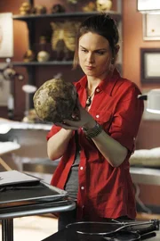 R&uuml;ckblick: Ein Blick in die Vergangenheit soll kl&auml;ren, wie es zur Zusammenarbeit von Brennan (Emily Deschanel), dem heutigen Team des Jeffersonian und Agent Booth vom FBI kam.