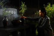 Rache ist s&uuml;&szlig;: Um ihrer Widersacherin einen herben Schlag zu versetzen, sorgen die Br&uuml;ckers daf&uuml;r, dass der Urnenschrein von Lis (Linda Chang) Vorfahren aus dem Garten verschwindet. Mit katastrophalen Folgen ...