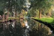 Der Spreewald als Kulturlandschaft ist für manche das Idealbild. Der Spreewald als Kulturlandschaft ist für manche das Idealbild.