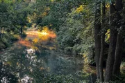 Morgenstimmung im Spreewald. Morgenstimmung im Spreewald.