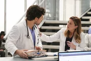 Dr. Andrew DeLuca; Dr. Meredith Grey Dr. Andrew DeLuca; Dr. Meredith Grey