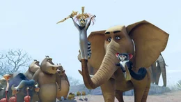 L&ouml;we Alex, Zebra Marty, Nilpferd Glora und Giraffe Melman entschlie&szlig;en sich Madagascar zu verlassen und in ihren Zoo zur&uuml;ckzukehren. Doch sie landen in Afrika und erleben dort gro&szlig;e &Uuml;berraschungen ...