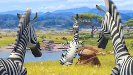 "Madagascar 2", Die New Yorker Zootiere machen sich nach ihrem Abenteuer in Madagaskar auf die Heimreise in den Big Apple. Die Pinguine machen ein Flugzeugwrack startklar - und ab geht's! &Uuml;ber Afrikas Savanne macht das Flugzeug nicht mehr mit. Nach einer atemberaubenden, aber bravour&ouml;sen Bruchlandung w&auml;hnen sich L&ouml;we Alex, Zebra Marty, Nilpferddame Gloria und Giraffe Melman im Paradies. Als Alex in dem Anf&uuml;hrer der Tiere seinen Vater erkennt, verfolgt Rivale Makunga bereits finstere Intrigenpl&auml;ne.  SENDUNG: ORF eins - MO - 26.10.2020 - 13:10 UHR. - Veroeffentlichung fuer Pressezwecke honorarfrei ausschliesslich im Zusammenhang mit oben genannter Sendung oder Veranstaltung des ORF bei Urhebernennung.
