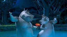 "Madagascar 2", Die New Yorker Zootiere machen sich nach ihrem Abenteuer in Madagaskar auf die Heimreise in den Big Apple. Die Pinguine machen ein Flugzeugwrack startklar - und ab geht's! &Uuml;ber Afrikas Savanne macht das Flugzeug nicht mehr mit. Nach einer atemberaubenden, aber bravour&ouml;sen Bruchlandung w&auml;hnen sich L&ouml;we Alex, Zebra Marty, Nilpferddame Gloria und Giraffe Melman im Paradies. Als Alex in dem Anf&uuml;hrer der Tiere seinen Vater erkennt, verfolgt Rivale Makunga bereits finstere Intrigenpl&auml;ne.  SENDUNG: ORF eins - MO - 26.10.2020 - 13:10 UHR. - Veroeffentlichung fuer Pressezwecke honorarfrei ausschliesslich im Zusammenhang mit oben genannter Sendung oder Veranstaltung des ORF bei Urhebernennung.