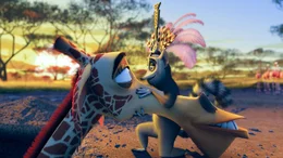"Madagascar 2", Die New Yorker Zootiere machen sich nach ihrem Abenteuer in Madagaskar auf die Heimreise in den Big Apple. Die Pinguine machen ein Flugzeugwrack startklar - und ab geht's! &Uuml;ber Afrikas Savanne macht das Flugzeug nicht mehr mit. Nach einer atemberaubenden, aber bravour&ouml;sen Bruchlandung w&auml;hnen sich L&ouml;we Alex, Zebra Marty, Nilpferddame Gloria und Giraffe Melman im Paradies. Als Alex in dem Anf&uuml;hrer der Tiere seinen Vater erkennt, verfolgt Rivale Makunga bereits finstere Intrigenpl&auml;ne.  SENDUNG: ORF eins - MO - 26.10.2020 - 13:10 UHR. - Veroeffentlichung fuer Pressezwecke honorarfrei ausschliesslich im Zusammenhang mit oben genannter Sendung oder Veranstaltung des ORF bei Urhebernennung.