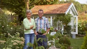 In der ersten Folge geht es in den Hochsauerlandkreis in einen romantischen Rosengarten nach Eslohe. Magdalenes Garten ist Lebenselexier und Passion. Gastgeberin Magdalene Fiebig mit ihrem Mann Klaus. In der ersten Folge geht es in den Hochsauerlandkreis in einen romantischen Rosengarten nach Eslohe. Magdalenes Garten ist Lebenselexier und Passion. Gastgeberin Magdalene Fiebig mit ihrem Mann Klaus.