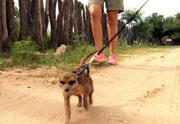 Die Erdm&auml;nnchen H&auml;nsel und Gretel gehen heute auf Expedition! Jedoch ist es ein Ausflug an der Leine. Das l&auml;sst sich optimieren. Wozu hat ein Erdm&auml;nnchen schlie&szlig;lich Z&auml;hne ..?