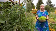 In der dritten Folge geht es in den 1.600 Quadratmeter großen Gemeinschaftsgarten Tausendschön nach Minden. Hier gärtnert, werkelt, kocht und imkert Elisabeth Schmelzer ehrenamtlich gemeinsam mit Menschen aus aller Welt – Deutschen und Migranten. Seit 2015 sät und pflanzt die ehemalige Betriebswirtin dort eine bunte Vielfalt an Gemüse und Obst und kümmert sich tatkräftig um Nachhaltigkeit und Umweltschutz. In der dritten Folge geht es in den 1.600 Quadratmeter großen Gemeinschaftsgarten Tausendschön nach Minden. Hier gärtnert, werkelt, kocht und imkert Elisabeth Schmelzer ehrenamtlich gemeinsam mit Menschen aus aller Welt – Deutschen und Migranten. Seit 2015 sät und pflanzt die ehemalige Betriebswirtin dort eine bunte Vielfalt an Gemüse und Obst und kümmert sich tatkräftig um Nachhaltigkeit und Umweltschutz.