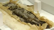 Kairo, &Auml;gypten - Mumifiziertes totgeborenes Baby in Tut's Grab gefunden.