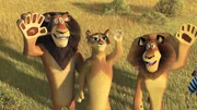 Der Plan war, Madagascar den R&uuml;cken zu kehren und zur&uuml;ck ins heimatliche Amerika zur&uuml;ckzukehren. Doch nach einer Bruchlandung in Afrika trifft Alex dort seine Familie ...