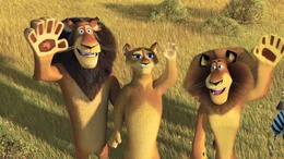 Der Plan war, Madagascar den R&uuml;cken zu kehren und zur&uuml;ck ins heimatliche Amerika zur&uuml;ckzukehren. Doch nach einer Bruchlandung in Afrika trifft Alex dort seine Familie ...