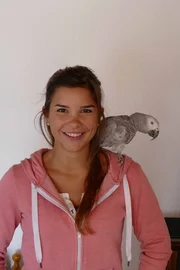Die Graupapageien Cynthia und Rico halten sich gerne au&szlig;erhalb ihres K&auml;figs auf. Hier haben sie Platz zum Fliegen.