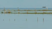 Skutarisee.