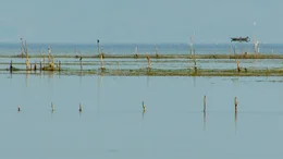 Skutarisee.