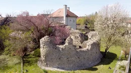 r&ouml;misches Fahnenheiligtum unter Pfarrkirche Zeiselmauer im Tullnerfeld.