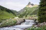 Tanja Burri aus dem Berner Oberland mit ihren Eseln.